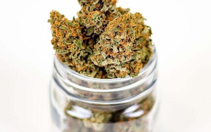 Does Weed Go Bad?